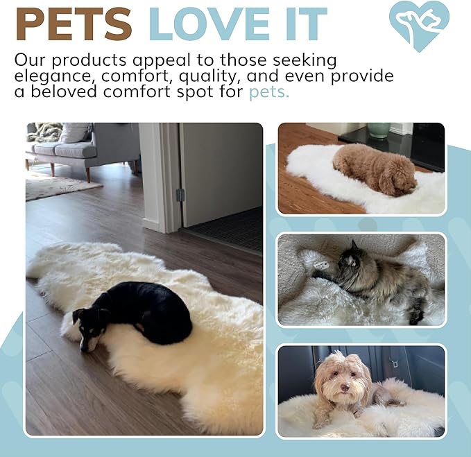 WaySoft New Zealand Sheepskin Area Rug – Genuine Fluffy Wool, Multiple Sizes, Bedroom or Living Room Decor(6ft x 7ft,Grey Beige)