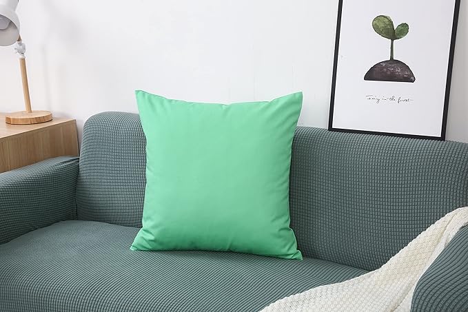 TangDepot Handmade Decorative Solid 100% Cotton Canvas Throw Pillow Covers/Cushion Covers, 45 Colors Available - (20" x20" , Mint Green, 2 Count (Pack of 1))