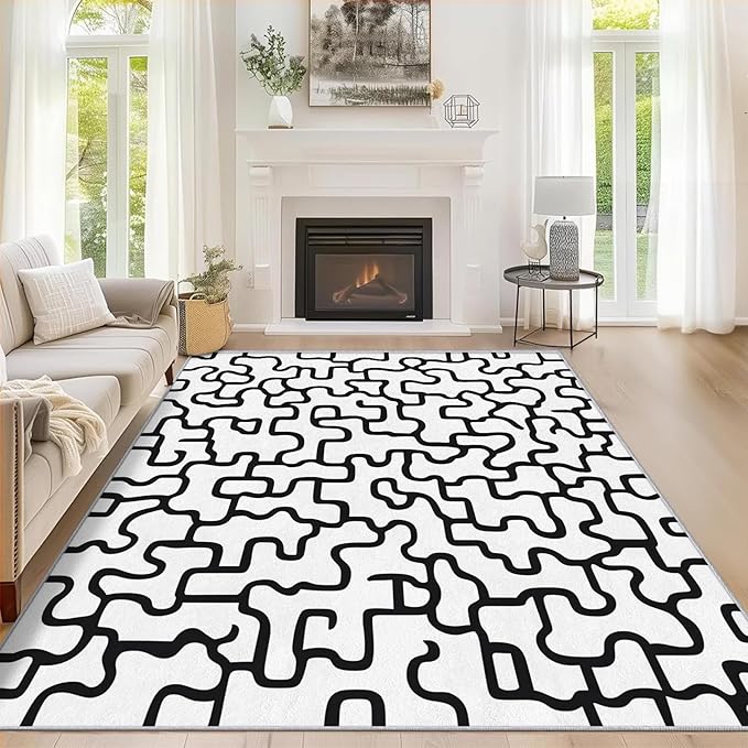 Abstract Geometric Rugs for Home Decor, 4x6 ft, Black and White Labyrinth Area Rugs for Living Room, Soft Non Slip Washable Modern Abstract Line Carpet Bedroom Decorations Dt-Ghf-31