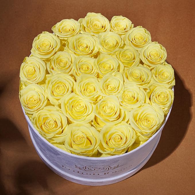 27 Roses in a Luxury Suede Box, Mother Day Flowers Gifts for Mom, Preserved Flowers for Her, Birthday Gifts for Women, Yellow