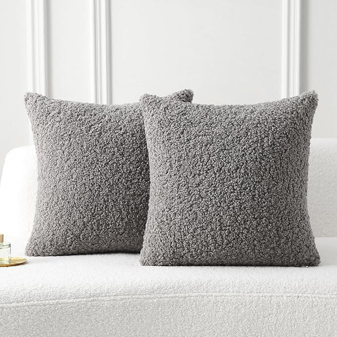 FUTEI Dark Grey Throw Pillow Covers 20x20 Inch Set of 2,Furry Faux Fur Teddy Boucle Textured Cushion Covers,Soft Fluffy Decorative Pillow Case,Home Decor for Couch Bed Living Room Office Car