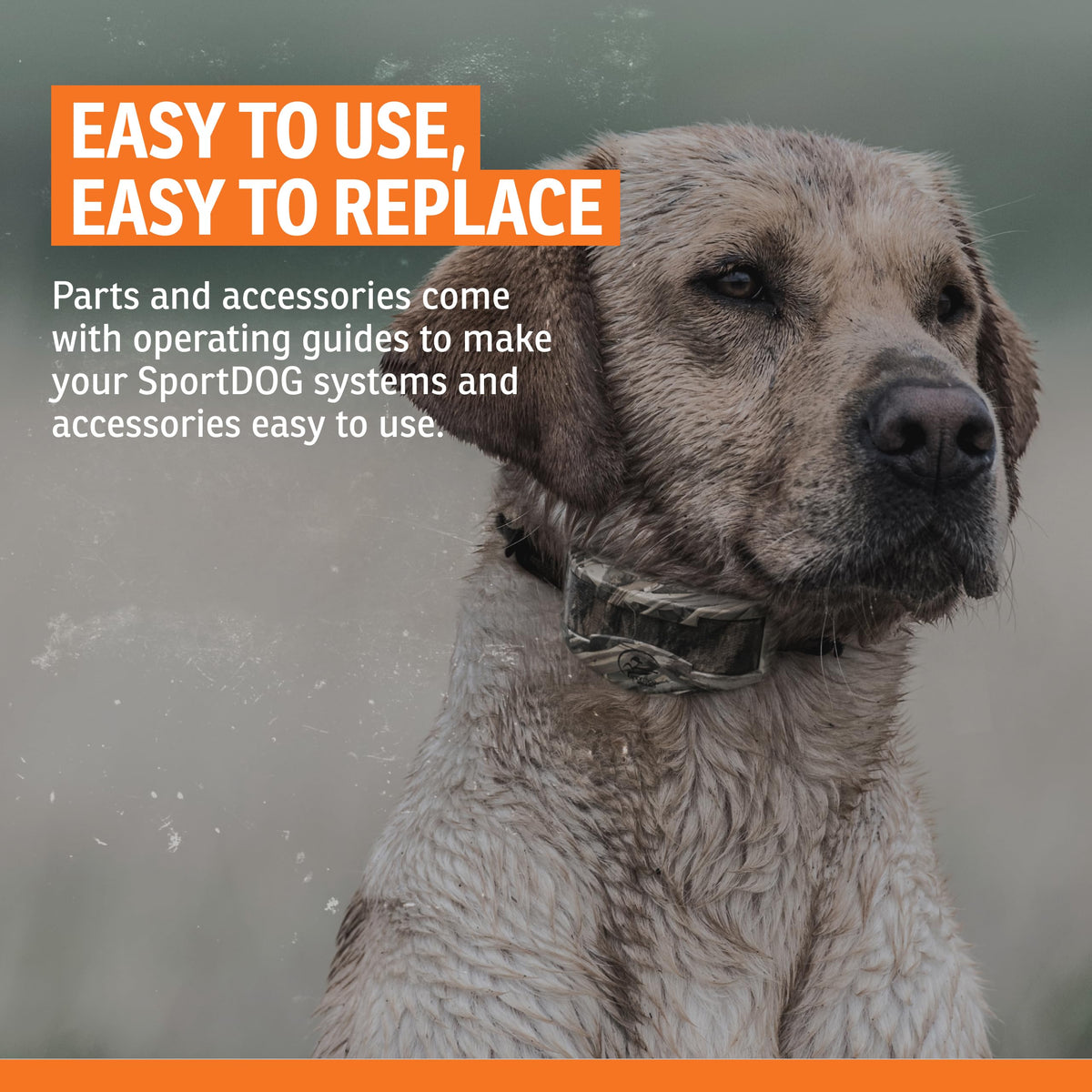 SportDOG Brand TEK Series 2.0 Charging Cradle