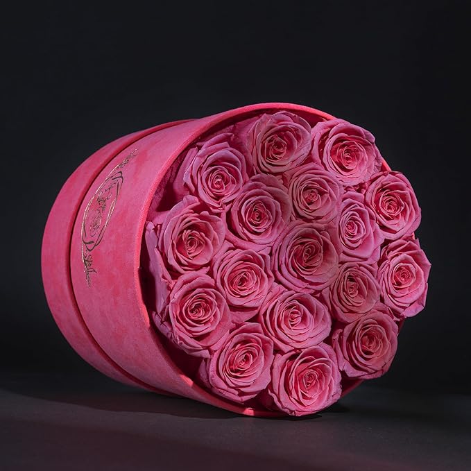17 Flowers in a Velvet Pink Box, Birthday Gifts for Women, Preserved Flowers, Mothers Day Roses Gift for Mom, Pink