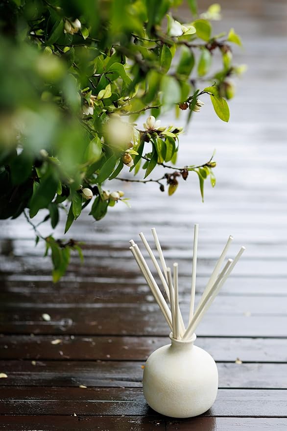 BLUEME Happiness-Yuzu & Ginger, 5.92 Fl Oz Wellness Diffuser, Contains Essential Oil, Sustainable, Hand Finished, Premium, Luxury Ceramic, Natural Rattan Reeds