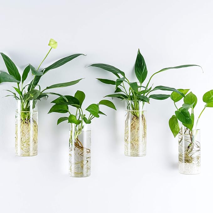 Kingbuy Glass Tube Wall Planter Propagation Station - 2 Pack Terrarium Cylinder Wall Vase with Plant Holder Hydroponic Planter for Home Kitchen Office Decor, Perfect Plant Lover Gifts (Short Cylinder)