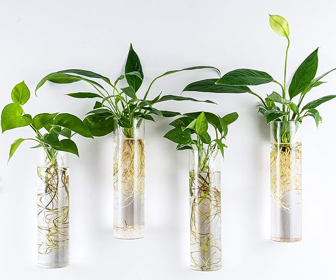 Kingbuy Wall-Mounted Plant Terrarium Propagation Station - 4 Cylinder Hanging Glass Tubes Planter for Hydroponic Plants, Indoor Wall Vases & Decorative Plant Holder Bathroom Office Living Room Decor
