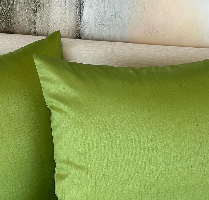 Aiking Home 20x20 Inches Faux Silk Square Throw Pillow Cover, Zipper Closure, Green (Set of 2)