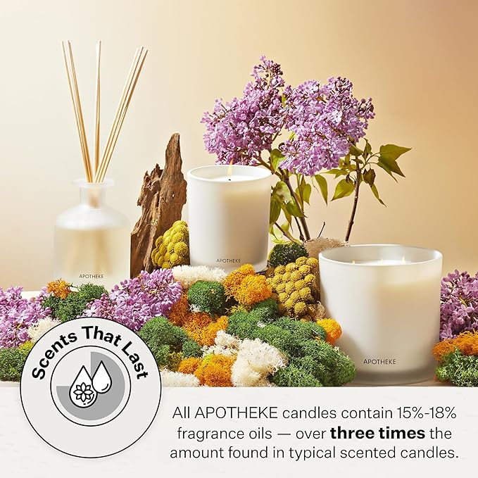 Apotheke Signature Scented Candles for Home, Charcoal - 10.5 oz - Soy Wax, Non Toxic, Large Jar Black - Luxury Candle Gifts for Women & Men - Cedarwood, Sandalwood, Oud, and Amber