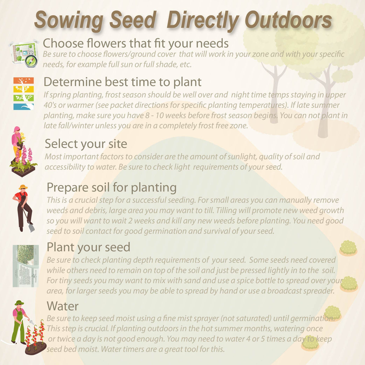 Outsidepride Annual Sun Wild Flower Seed Mix - 1 lb Premium Blend of Annual Wildflower Seeds for Sunny Locations, Vibrant & Easy-to-Grow, Attracts Pollinators, Ideal for Home Gardens & Floral Displays