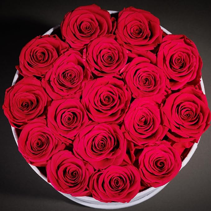 17 Flowers in a Luxury Suede Box, Birthday Gifts for Women, Preserved Flowers, Mothers Day Roses Gift for Mom, Hot Pink