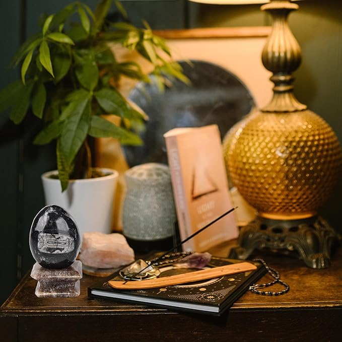 AMOYSTONE Orthoceras Stone Egg Black with Natural Stone Base for Healing Reiki Home Decors Medium, Single Height 2.5-3"