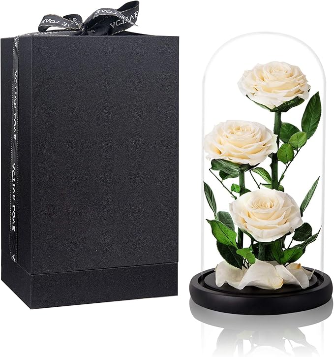 White Roses Handmade Preserved Rose in Glass Dome, Preserved Flowers Never Withered, Birthday Gifts for Women (13 inch)