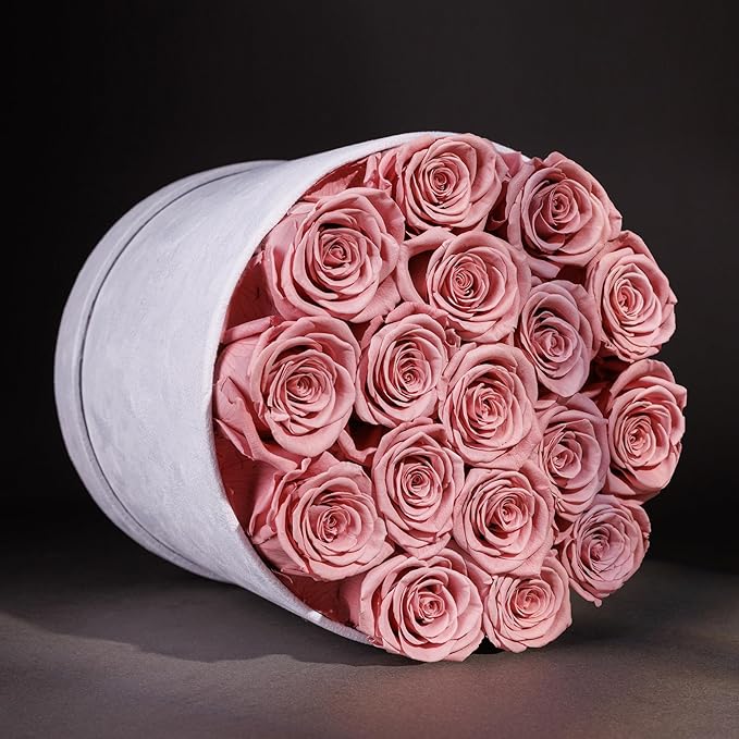 17 Flowers in a Luxury Suede Box, Birthday Gifts for Women, Preserved Flowers, Mothers Day Roses Gift for Mom, Dusty Rose