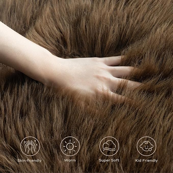 Ashler Faux Fur Rug, Fluffy Shaggy Area Rug, Ultra Soft 2 x 3 Feet Sheepskin Fur, Dark Coffee Fuzzy Machine Washable Shag, Nursery Decor Throw for Bedroom, Living Room, Kids Room