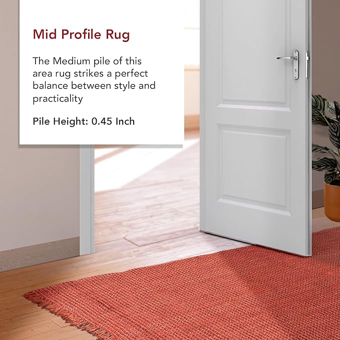 Nuloom Daniela Brick, 3' x 5', Handmade, Jute, Tassel, Soft and Textured, High Traffic, Stain Resistant, Easy Clean, Durable Area Rug for Bedroom, Living Room, Dining Space, Foyer, Entryway