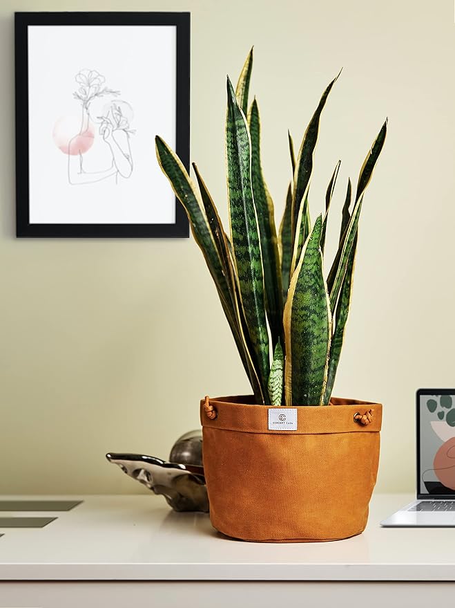 Large Waxed Canvas Handmade Hanging Planter for Indoor/Outdoor Plants, Hanging Basket Plant Holder Dijon Yellow with Hook