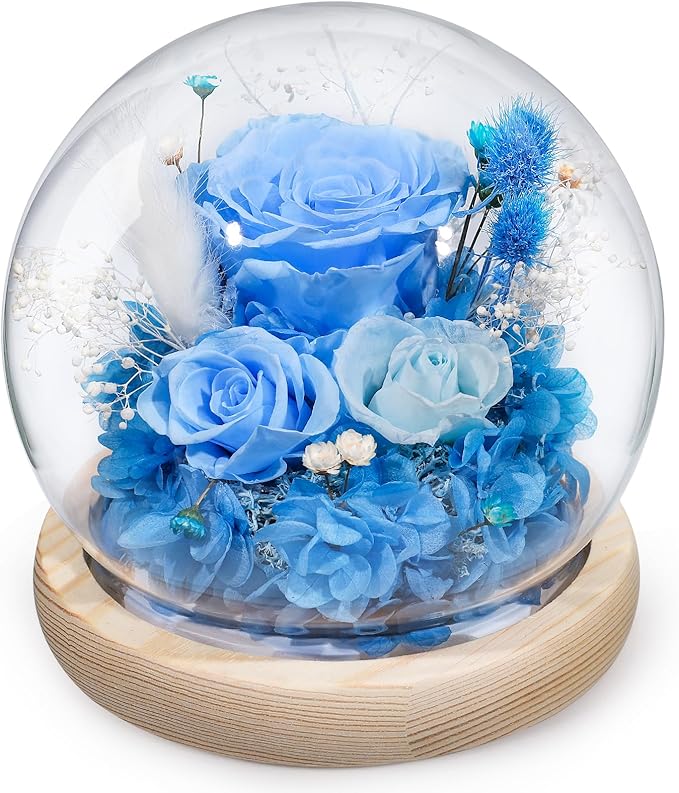 FIACO Preserved Rose Birthday Gift for Women Forever Fresh Flowers for Prime Delivery Gift for Mom Grandma Wife Valentines Mothers Day Christmas Anniversary Eternal Roses in Glass Dome