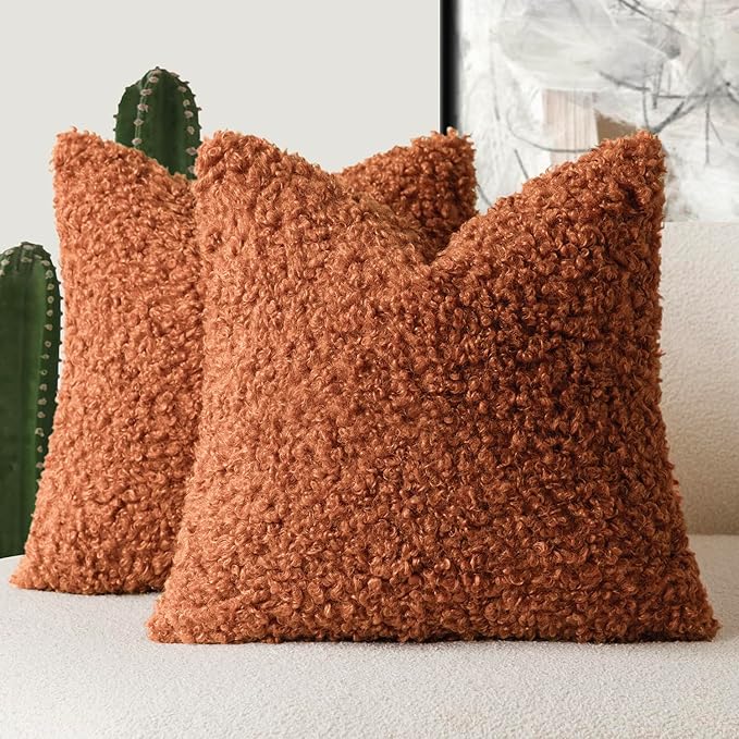 Foindtower 2 Pieces 22x22 Inch Burnt Orange, Faux Fur Throw Pillow Cover Accent Sherpa Furry Pillow Cover Fuzzy Soft Pillowcases Cozy Sheepskin Decorative Fleece Cushion Case for Bed Couch Living Room