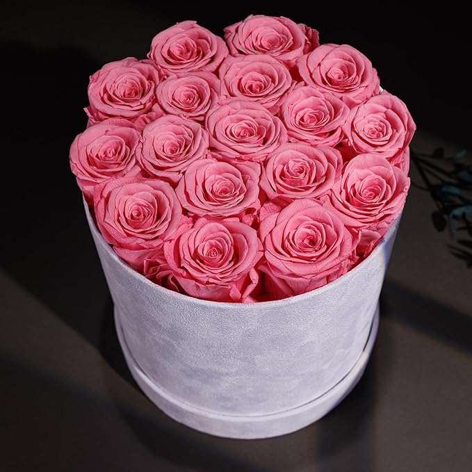 17 Flowers in a Luxury Suede Box, Birthday Gifts for Women, Preserved Flowers, Mothers Day Roses Gift for Mom, Light Pink