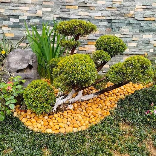 Rocks for Plant 5lbs, Yellow River Rocks 2-3 Inch Natural Pebbles for Indoor Plants, High Polished Decorative Stones Vase Filler Fish Tank Aquariums Landscaping Garden