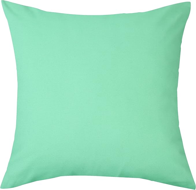 TangDepot Handmade Decorative Solid 100% Cotton Canvas Throw Pillow Covers/Cushion Covers, 45 Colors Available - (20" x20" , Mint Green, 2 Count (Pack of 1))