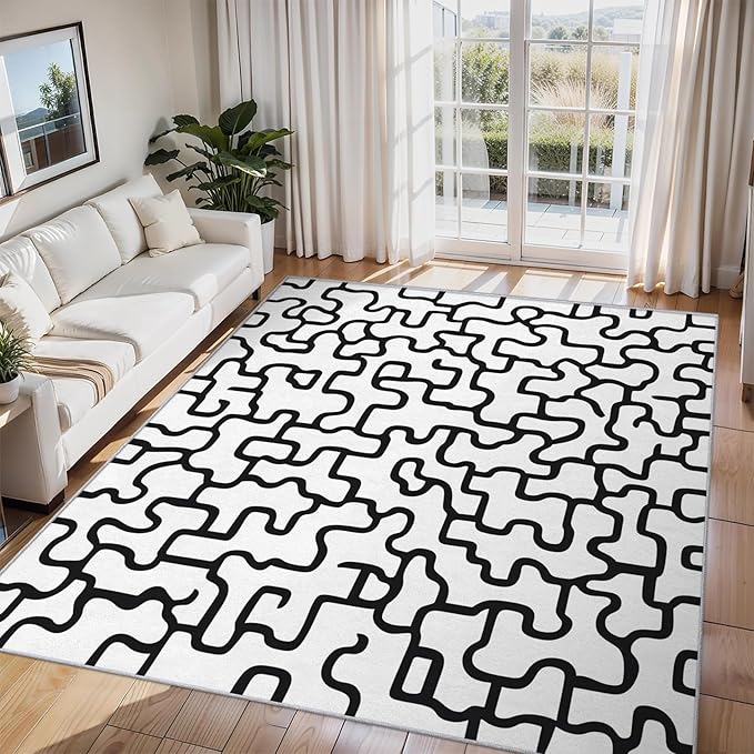Abstract Geometric Rugs for Entryway, 2x3 ft, Black White Labyrinth Area Rugs for Bedroom Kitchen Entrance, Soft Non Slip Washable Modern Abstract Indoor Door Mat Home Decorations Dt-Ghf-31
