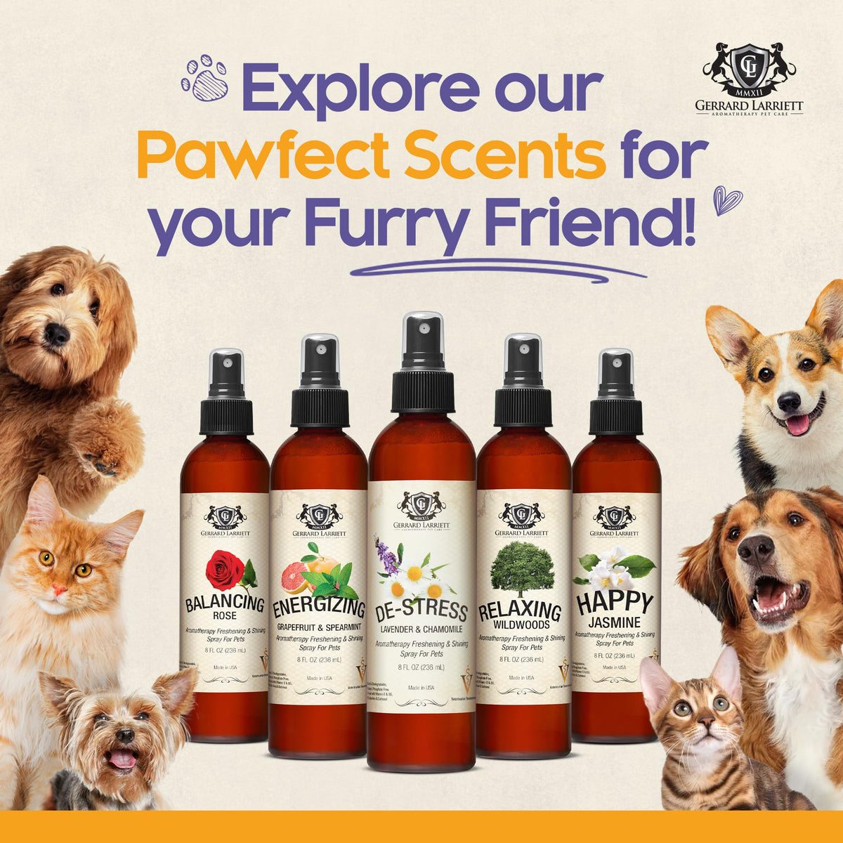Dog Perfume Spray Long Lasting Chamomile & Lavender 8 Fl Oz, Dog Cologne Spray Long Lasting for Groomers, Calming Deodorizer Perfume for Dogs, Pet Puppy Deodorizing Fragrance by Gerrard Larriett