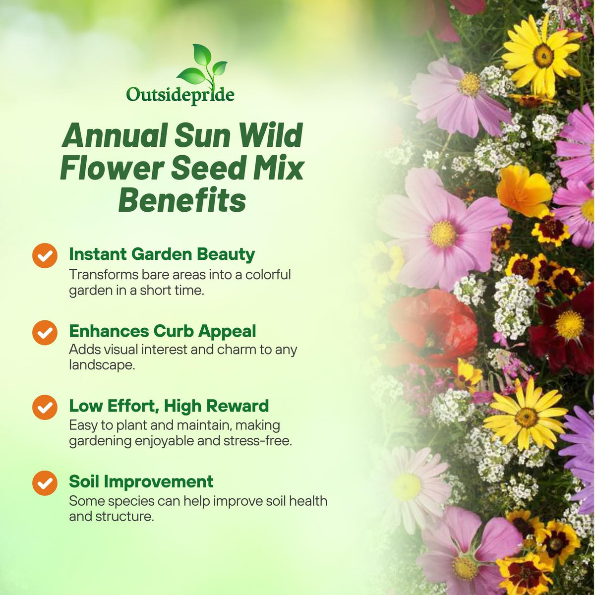 Outsidepride Annual Sun Wild Flower Seed Mix - 1 lb Premium Blend of Annual Wildflower Seeds for Sunny Locations, Vibrant & Easy-to-Grow, Attracts Pollinators, Ideal for Home Gardens & Floral Displays