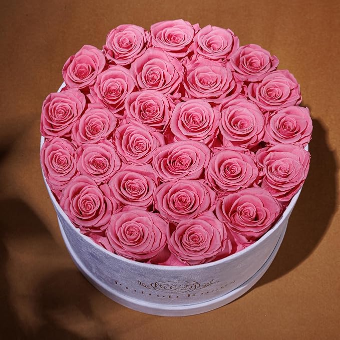 27 Flowers in a Luxury Suede Box, Birthday Gifts for Women, Preserved Flowers, Mothers Day Roses Gift for Mom, Light Pink