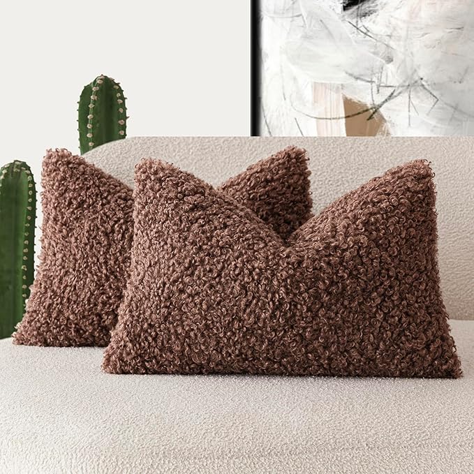 Foindtower Set of 2 Curly Teddy Wool Pillow Covers Decorative Boucle Textured Lumbar Throw Pillow Faux Fur Sherpa Pillowcases Sheepskin Fuzzy Cushion Case for Sofa Bedroom Car 12"x20" Red Brown