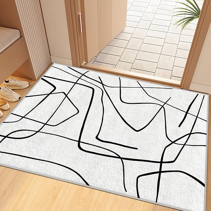 Black and White Rug - Abstract Area Rug, Black and White Rugs for Living Room, Modern Door Mat, Minimalist Washable Rugs, Contemporary Carpet Non Slip Home Decor, Curve 2x3