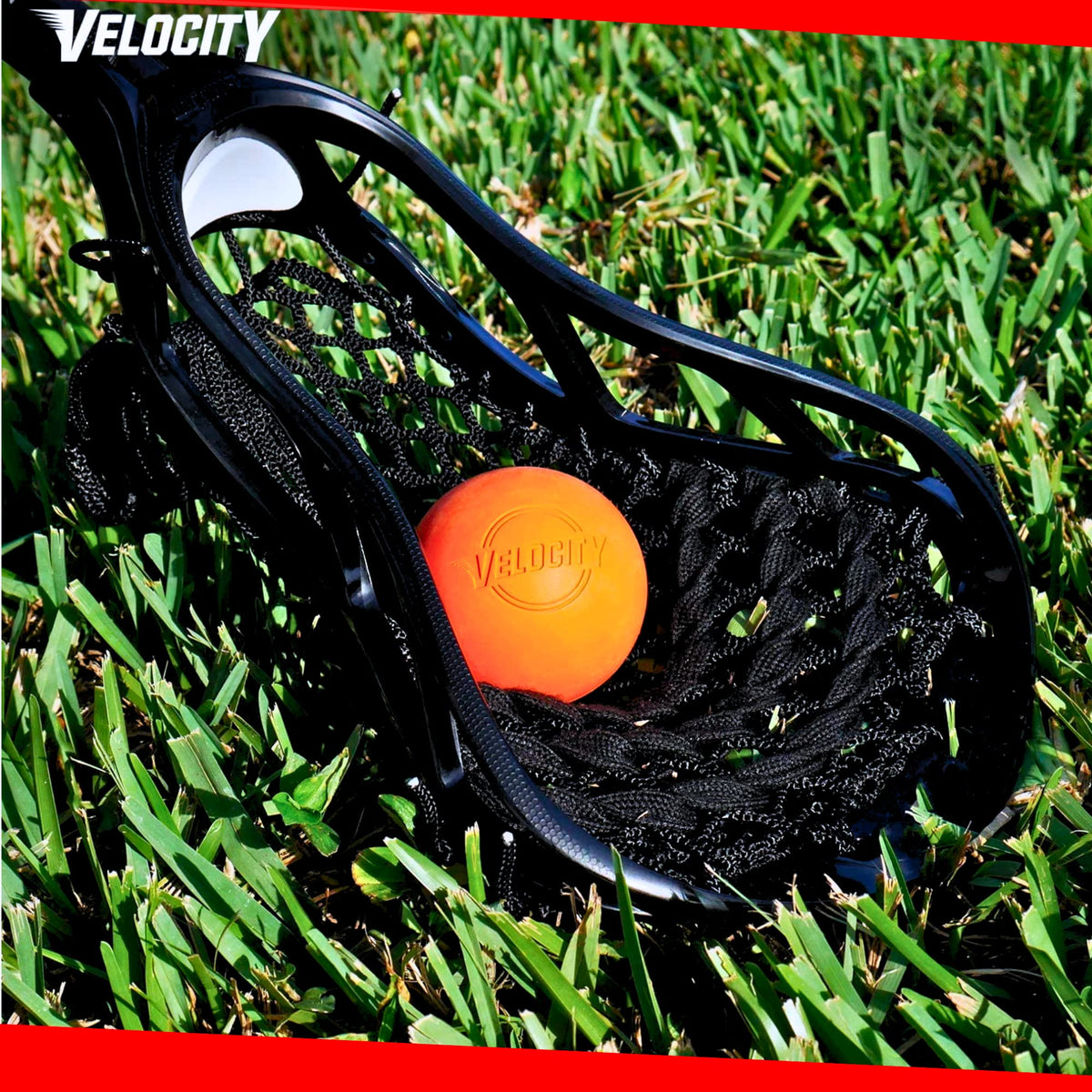 Velocity Practice Lacrosse Balls - 1, 2, 3, 6, 12, 18, 24, 36, 60 and 120 Packs - Official Size and Weight - White