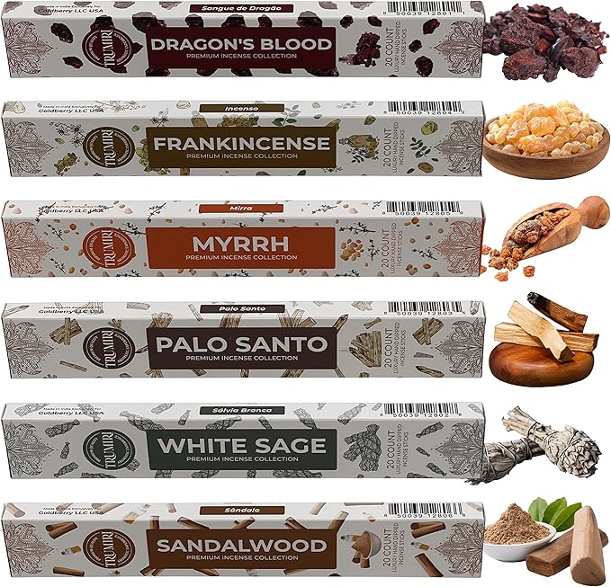 Woody Incense Sticks Variety Pack - 120 Insence-Sticks (6 Incents x 20 Insense) - White Sage Palo Santo Dragons Blood Sandalwood - Natural Inscents-Sticks Non Toxic Cleansing Incienso + Burner Holder