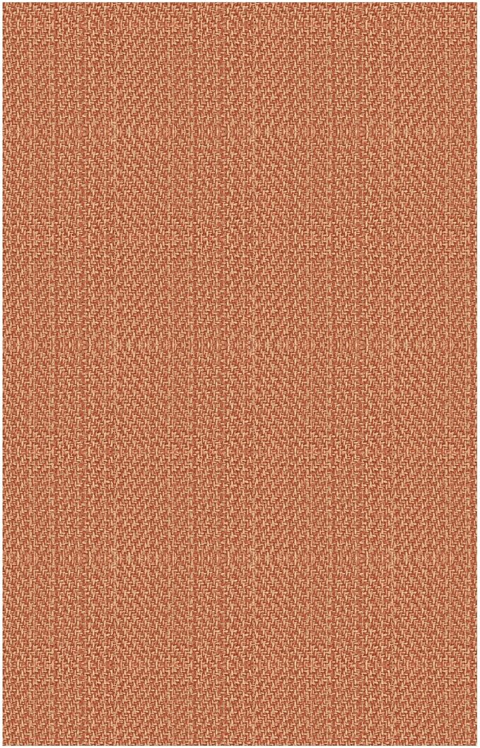 IOHOUZE Small Area Rug 2x3 Washable Woven Rugs for Entryway Non Slip Rubber Backed Front Door Rugs Indoor Doormat Throw Rug Floor Carpet for Entrance Kitchen, Rustic Orange