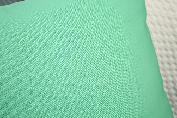 TangDepot Handmade Decorative Solid 100% Cotton Canvas Throw Pillow Covers/Cushion Covers, 45 Colors Available - (16" x 16" , Mint Green, 1 Count (Pack of 1))