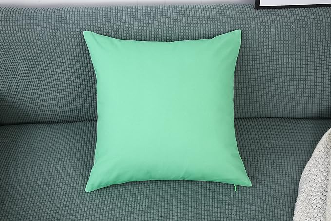 TangDepot Handmade Decorative Solid 100% Cotton Canvas Throw Pillow Covers/Cushion Covers, 45 Colors Available - (20" x20" , Mint Green, 2 Count (Pack of 1))